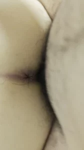 一点点肏进母狗的骚穴