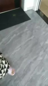 大嫂却在卫生间被我操完才出门