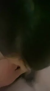 小母狗口交，完整版已上传至电报群