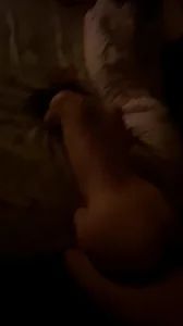 偶尔自己也干一下，被单男干的嗷嗷叫，我操就一点动静没有