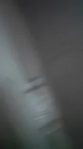 猜猜哪个是我老婆