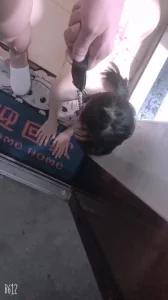 （招单男进群交流约炮）