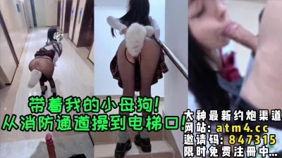 【完整版46分钟已上传下面简阶】