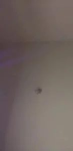 可撸！